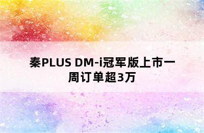 秦PLUS DM-i冠军版上市一周订单超3万